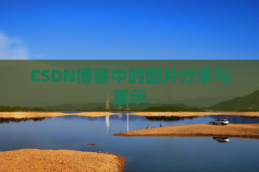 CSDN博客中的图片分享与展示